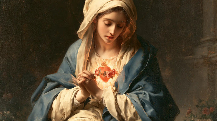 The Immaculate Heart of Mary — The Folded Veil Above the Prayer