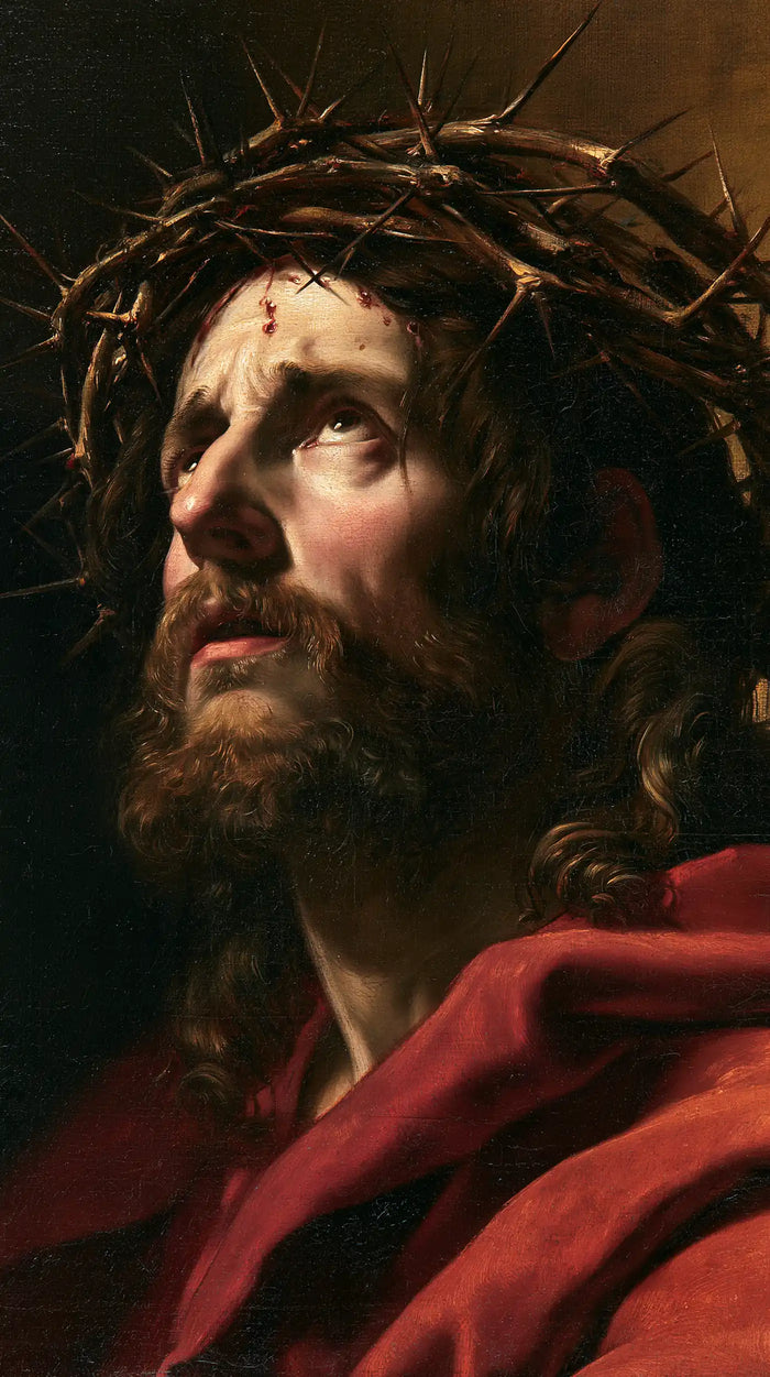 Jesus Crowned with Thorns — The Ember Cloak and Heaven Sought