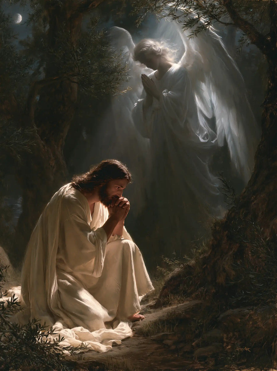 Jesus in Gethsemane — White Shared by the Night