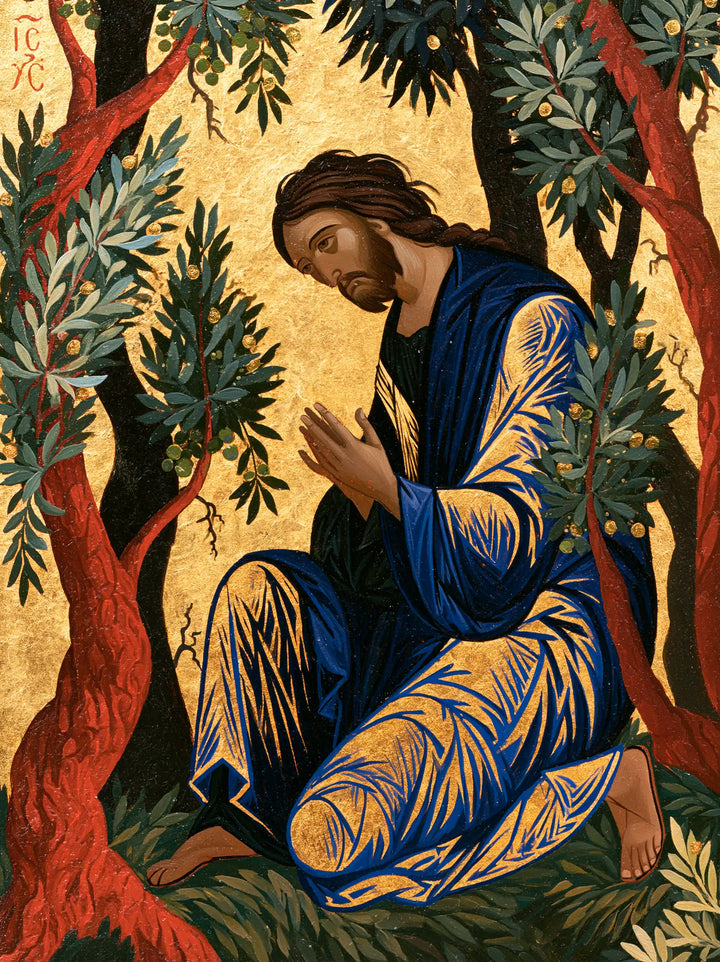Jesus in Gethsemane — Folds Where Light Blooms