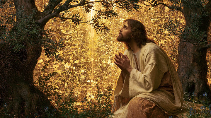 Jesus in Gethsemane — Hope before Sunlit Foliage