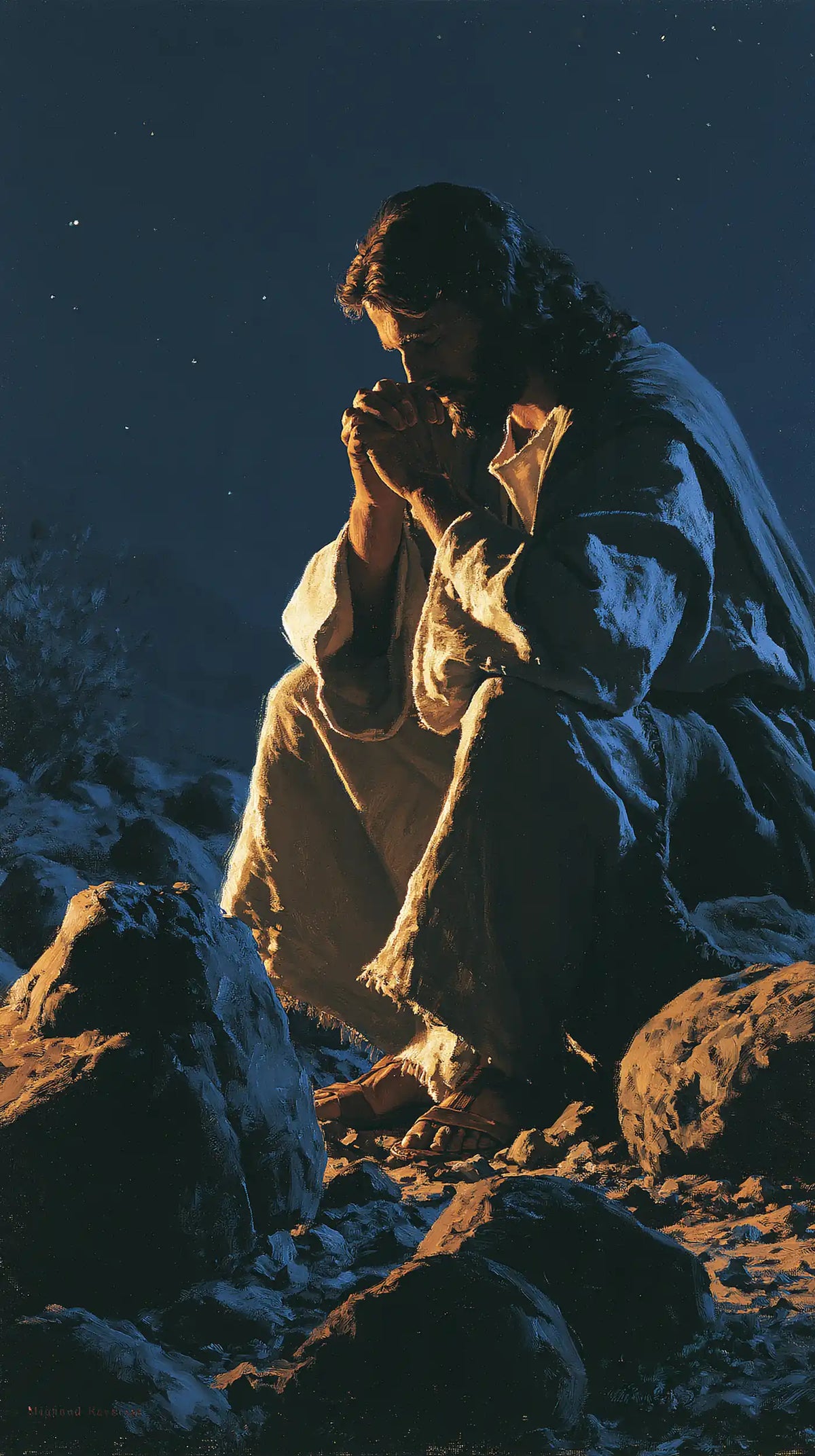 Jesus in the Desert — Prayer within the Fold of Light