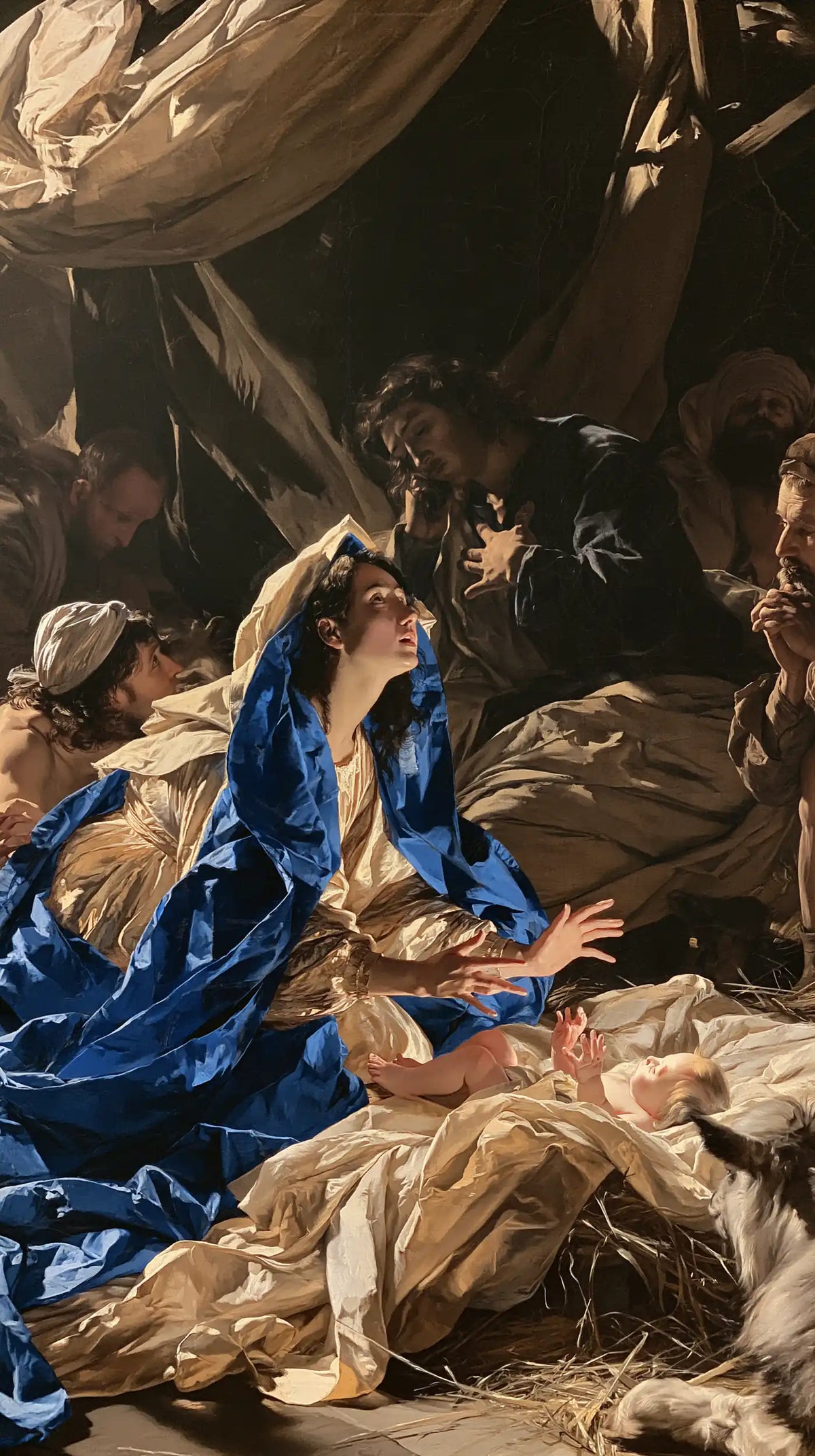 The Nativity — Royal Blue beside the Straw
